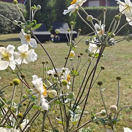 Charming In A Cozy In Stege