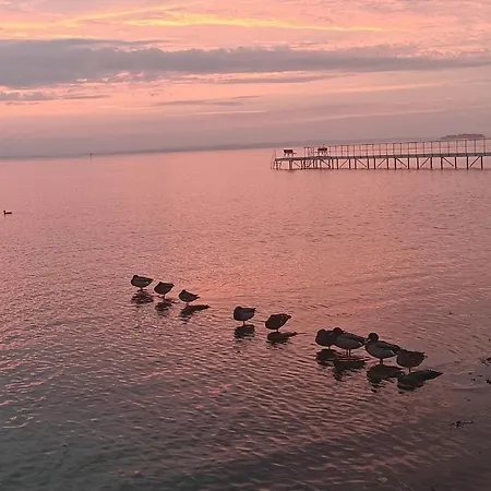 Apartman Charming In A Cozy In Stege