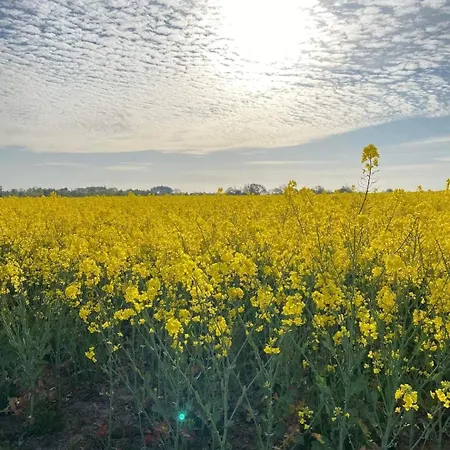 Charming In A Cozy In