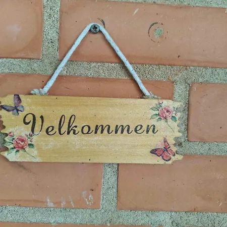 Charming In A Cozy In Apartman