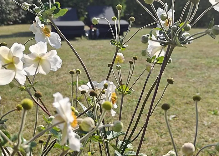 Charming In A Cozy In スタイ