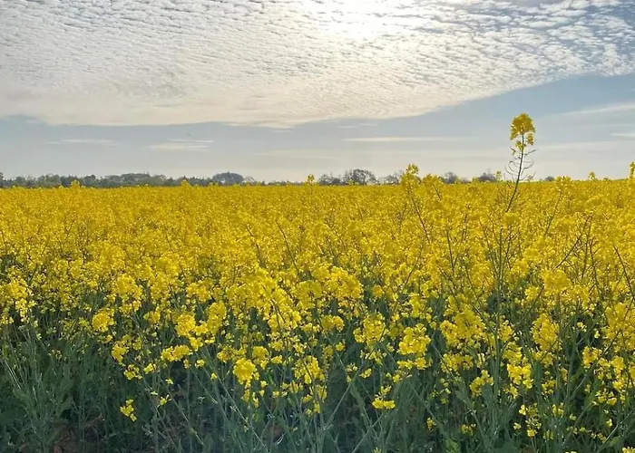 Charming In A Cozy In